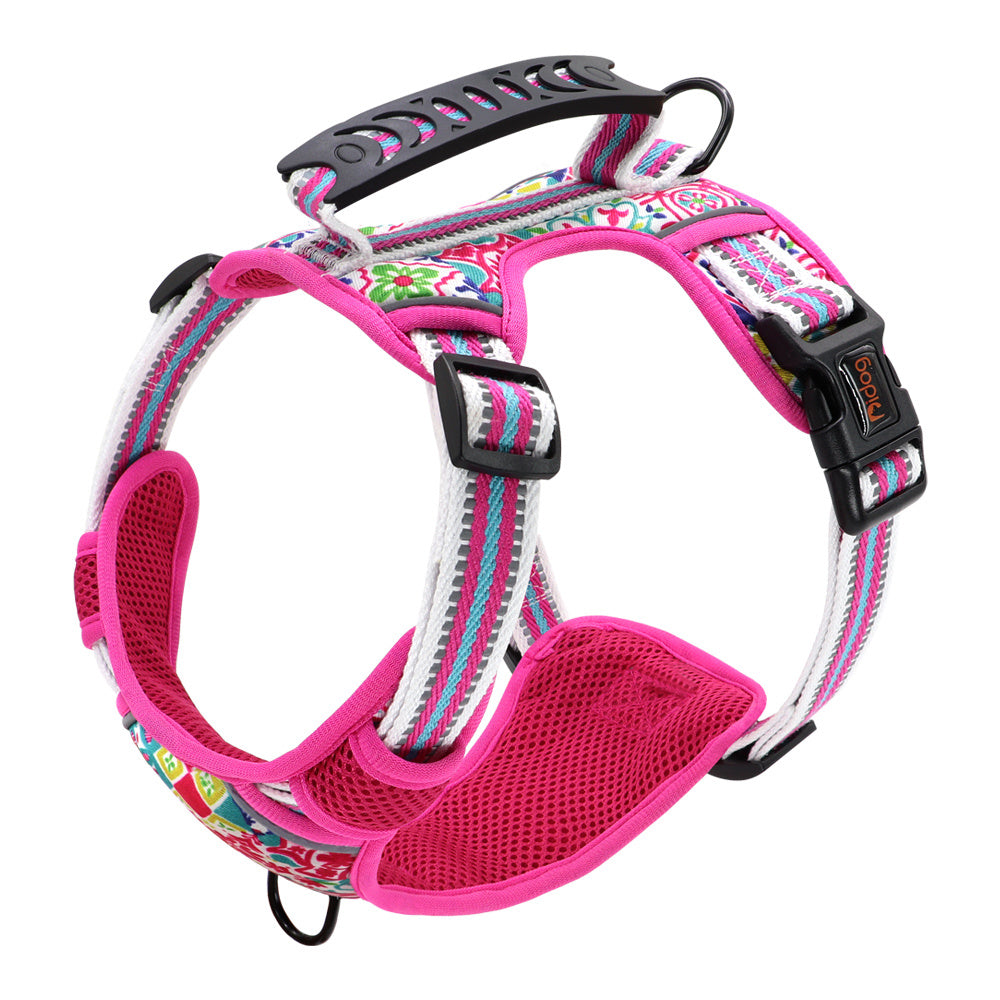 Discover the Perfect Leash for Your Furry Friend!